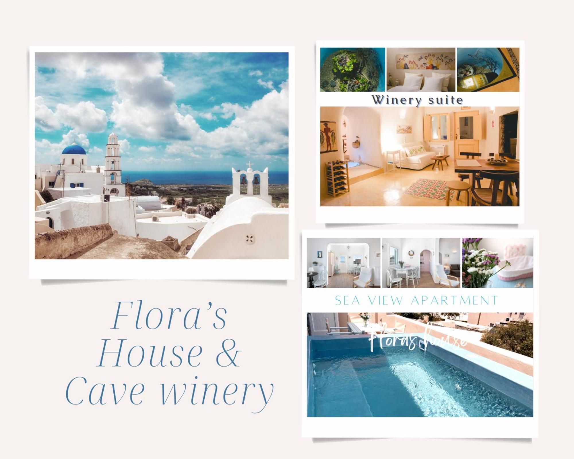 Flora'S House & Cave Winery Villa Pýrgos Екстериор снимка